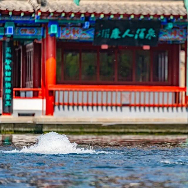 济南金秋打卡地TOP10发布！带你解锁泉城“醉”美秋天