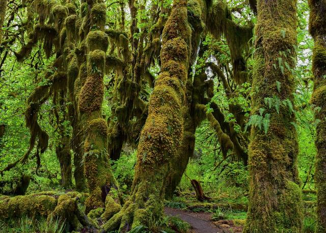 美西29天，我为什么要重走这条路线？