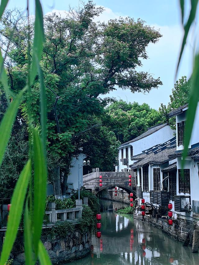 嘉定之根—上海AAAA级旅游景区