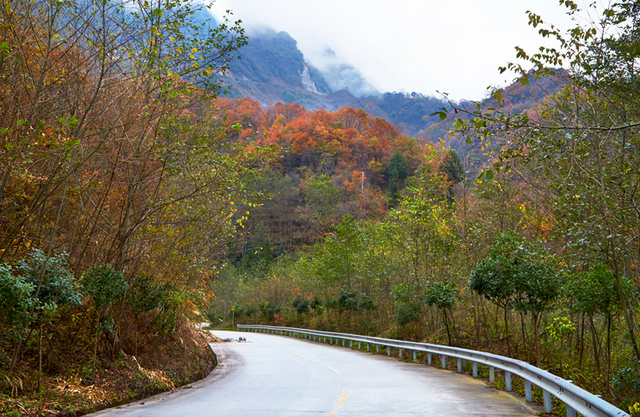 走不出这画了，我已被平武的彩林迷倒！
