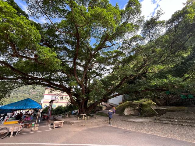 退休夫妻自驾霞浦之杨家溪、榕枫公园、渔井村