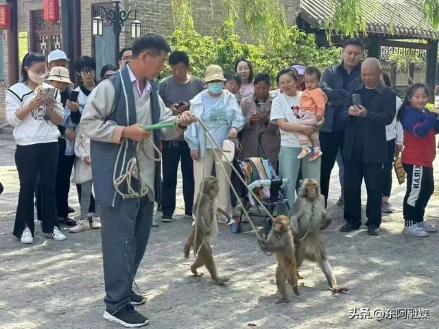 叮~东阿中医药文化旅游区国庆游玩攻略已定制完毕，请查收