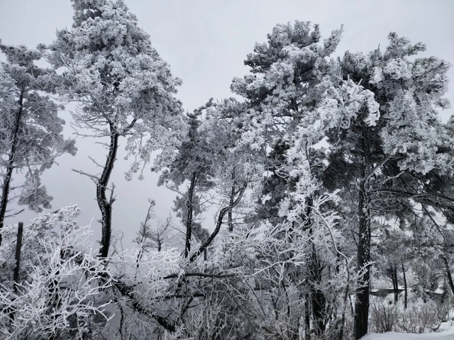 临沂，你真的好风光！！