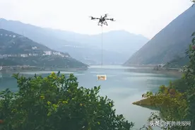 大疆农业十二年：旗舰无人机T100首秀助力秭归橙子“飞”出山图片