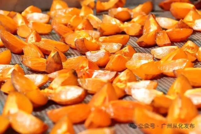 激情全运季，冬日红柿四大天王火爆出圈，爆汁甜满喜“柿”连连～