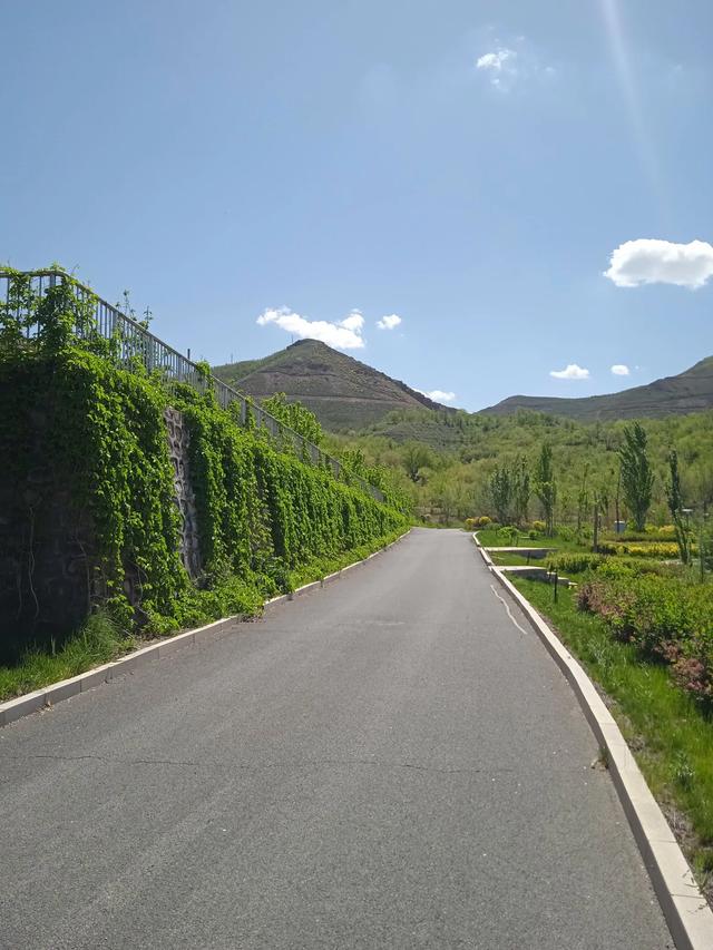 乌市雅山西边的湿地，登山步道14号打卡点，那里人少有大自然野趣