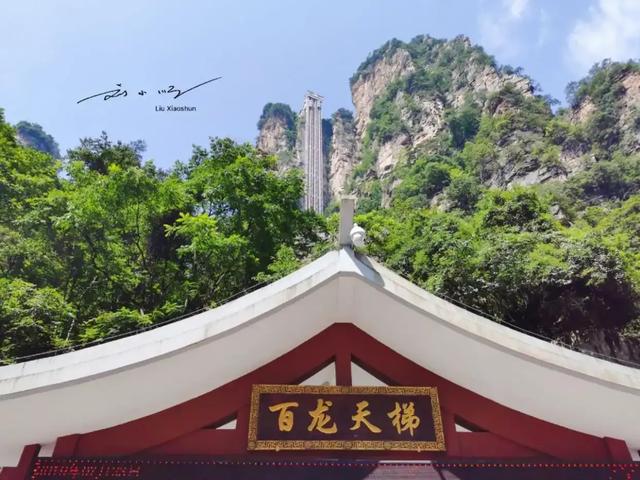 湖南张家界“世界第一梯”:获三项吉尼斯纪录,游客直呼实至名归
