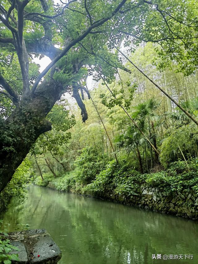 丽水古堰画乡景区没有想象中的那么优秀，去不去皆遗憾