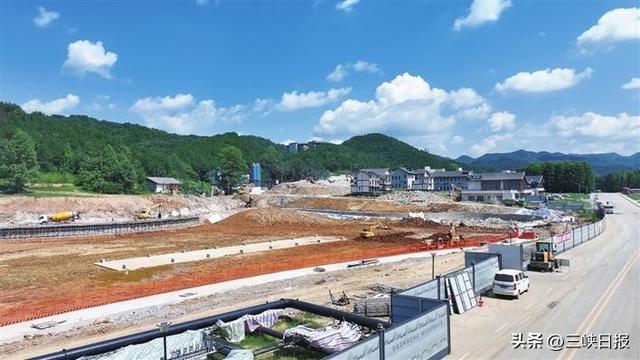 湖北宜昌：“候鸟族”点亮绿水青山