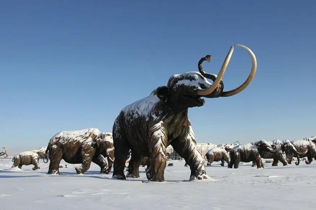 属马、姓马看过来！“马”住呼伦贝尔专属福利