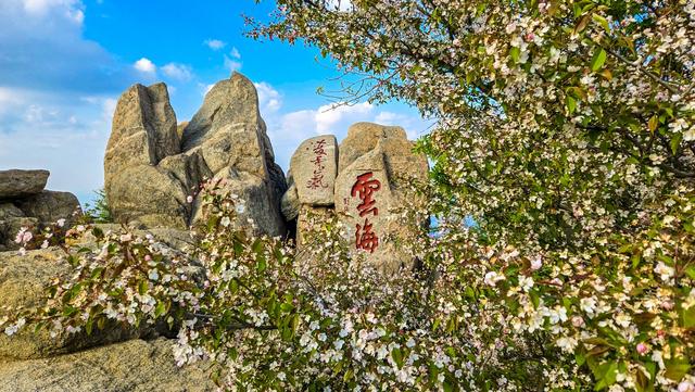 海棠花与汉服佳人的泰山之约