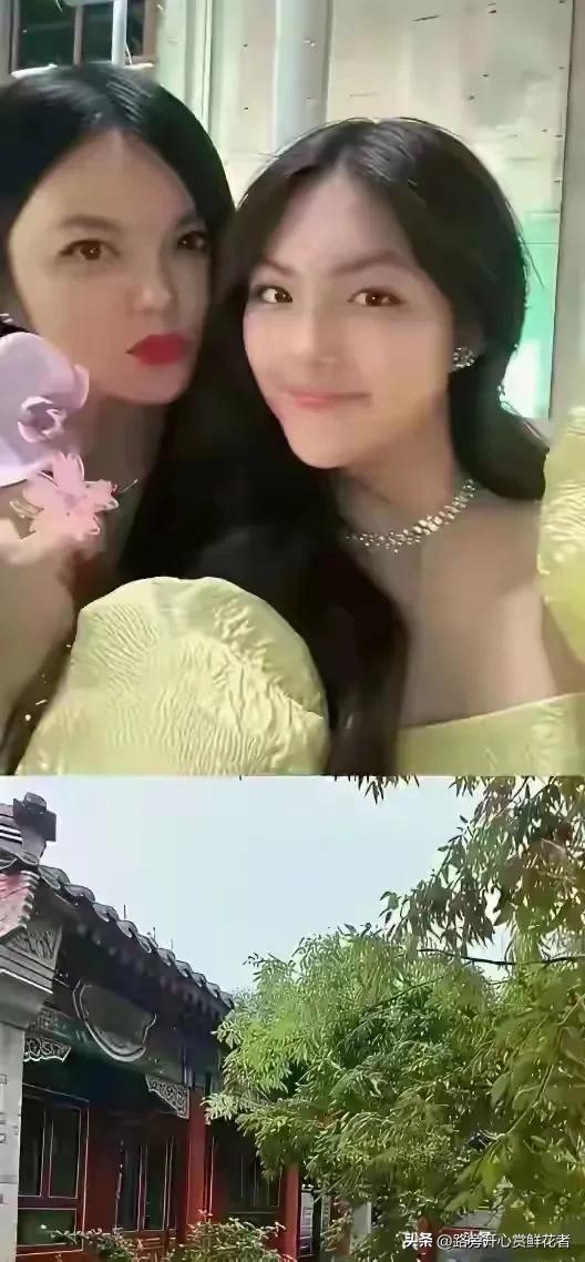 李湘在平台晒自家北京小院，大到让网友以为是景区，真的太有钱了