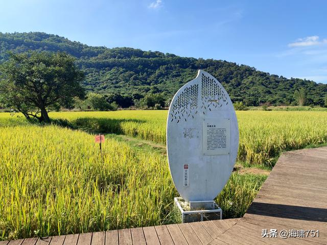 从化艾米稻香小镇