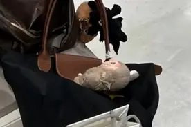 泡泡玛特潮玩火爆新加坡：二手价格翻2-3倍、见光就被偷...图片