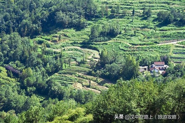 登高望远赏秋收