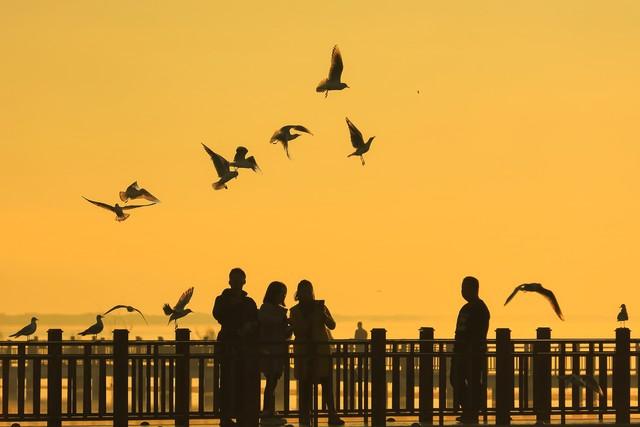 去越南旅游后感到冬天去温暖地真舒服，可思前虑后还是居家硬撑吧
