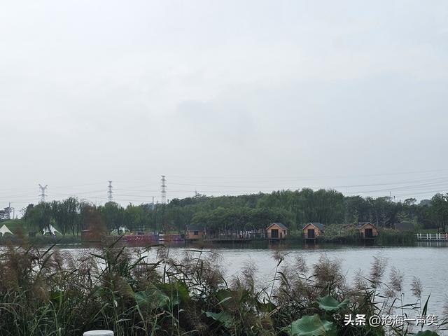梅湖，散步休闲的去处，露营聊天的基地，人生得意须尽欢！