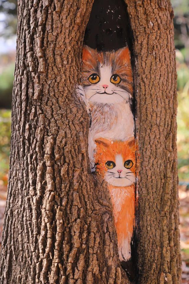 什么？日照这里有一群“小精灵”？！