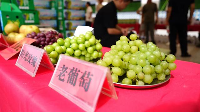 比市区低5℃！湾里葡萄漂流季带你解锁25℃的夏天