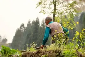 如今的老年人，有7个坏习惯，看看您占了几个？图片