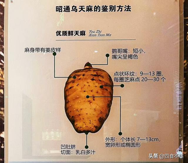 低调的昭通快藏不住了，其貌不扬的美食竟然这么好吃！
