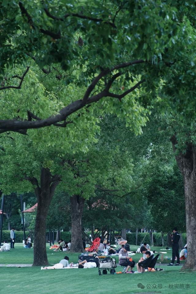 秋日的大宁公园简直美的不像话，推荐上海的朋友周末去玩