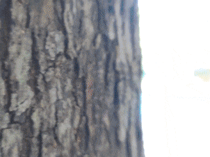 悦·遵义丨享暖冬 三条播州宝藏线路，让你尽享冬日温暖时光！