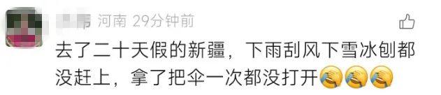 伊昭公路“八月飞雪”全网刷屏！当地相关部门回应→