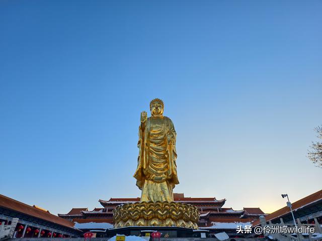 新疆乌鲁木齐红光山大佛寺