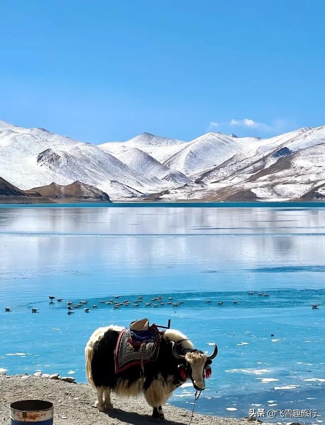 冬季进藏，体验不一样的高原秘境，小众路线与深度体验指南