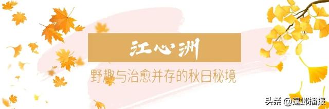 建邺5大封神赏景地，错过再等一年