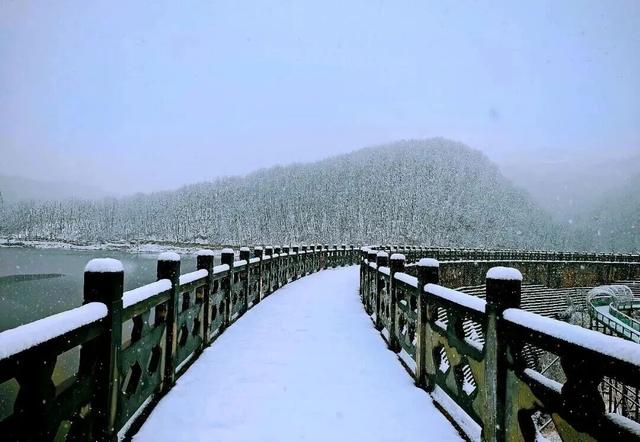 不用去哈尔滨，咱平顶山也有冰瀑雪林