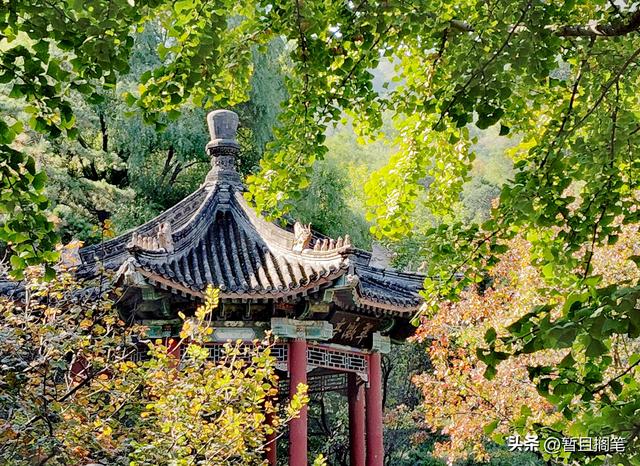 以我4次经历，带你打卡北京香山，北京的朋友请补充