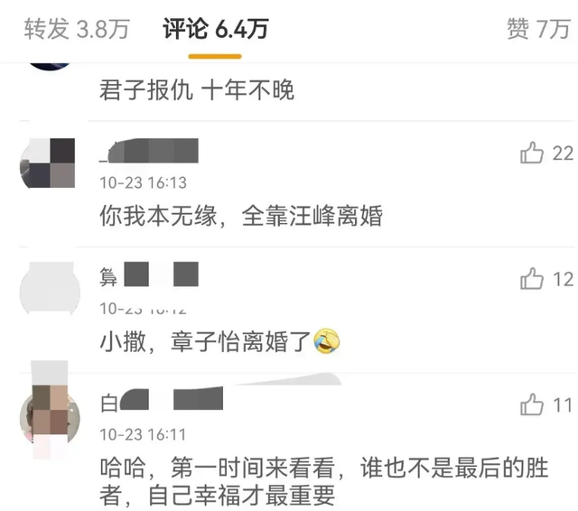 离婚不到两年，章子怡又官宣喜讯，成为汪峰“高攀不起”的存在