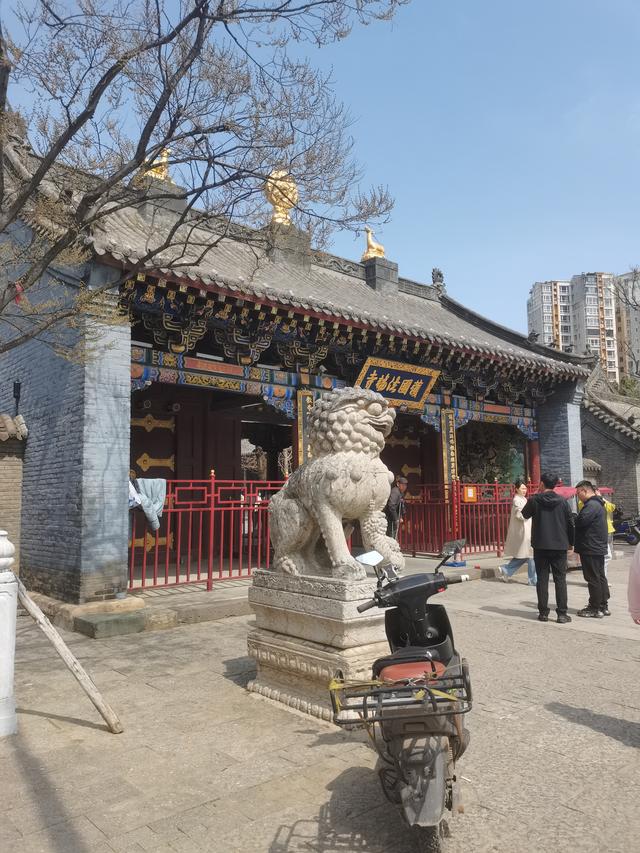 六问沈阳北塔公园空灵花海景点为何无花只有荒草