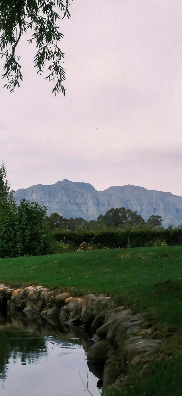 风景壁纸已送达