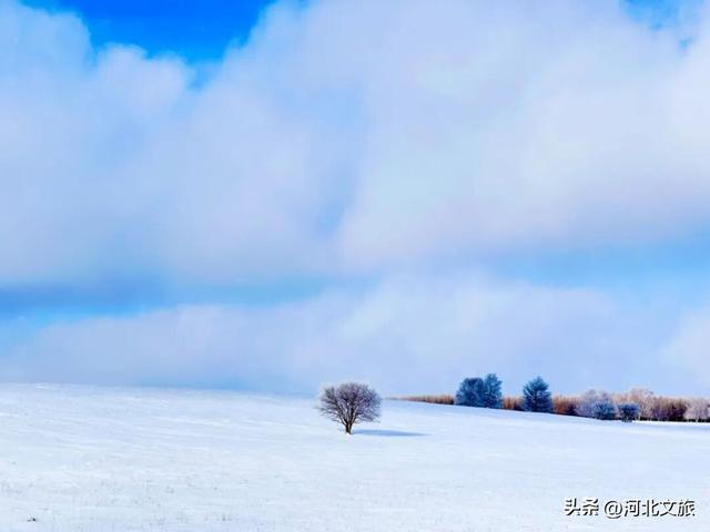 御道口草原森林风景区：草原换银装，森林藏冬韵！