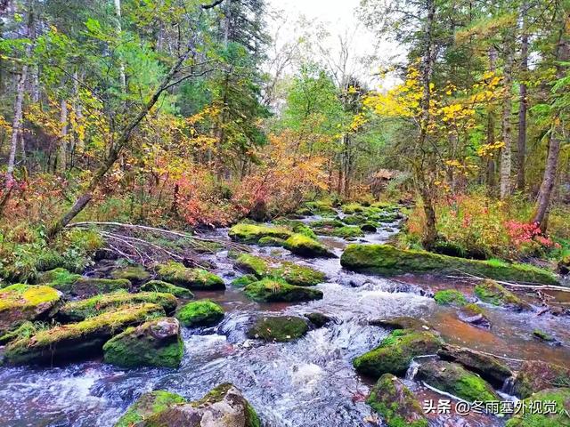 洪涛文苑：康彩兰《最美的秋天》