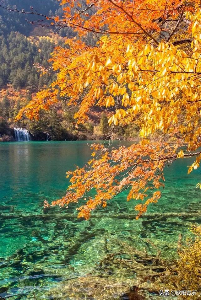 是什么让资深驴友每年秋天都偷偷跑去川西？？