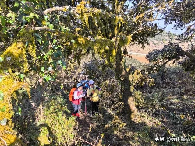 新年登高、祈愿美好,攀登富民金铜盆山,我们用徒步迎接2026