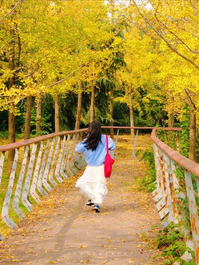 西安周末好去处——初冬8处宝藏公园免费又好玩！