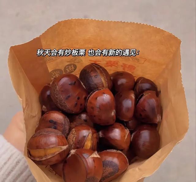 凉风有约，石泉喊你来赏秋~