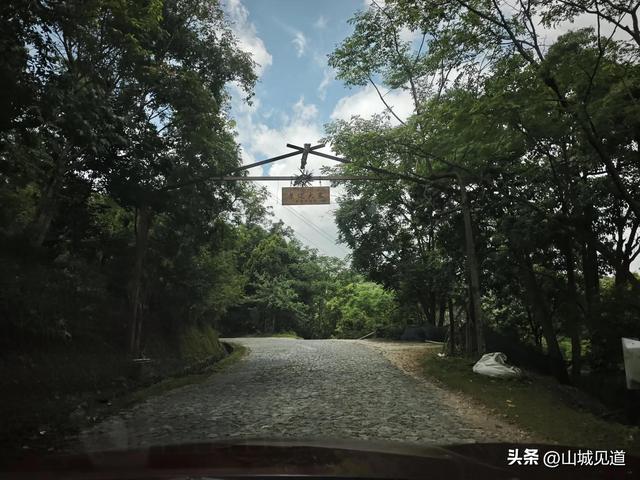 219国道云南段自驾路况2025