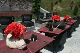 如今人们常吃猪肉，中国人何时开始养猪吃肉的？答案超乎想象图片