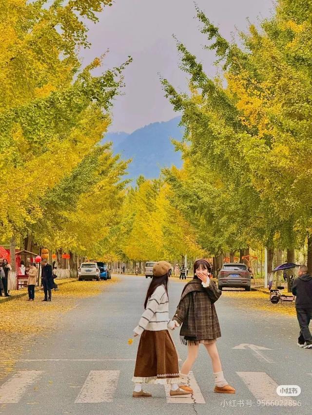 周末出国！高铁20min直达最美异域小城！风光极致美食无敌，入秋满城银杏美哭！
