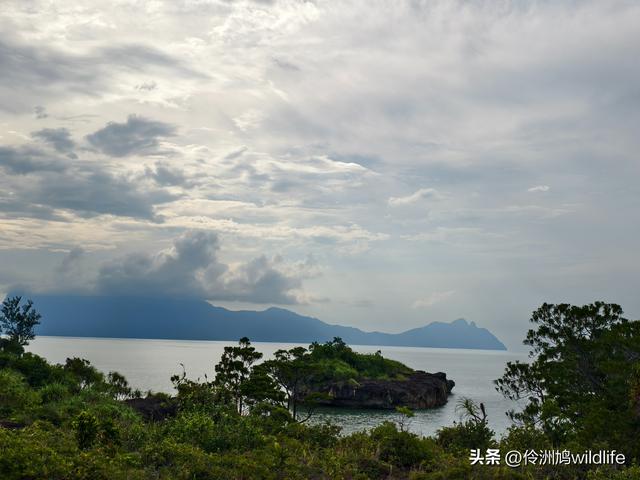 马来西亚(35)砂拉越州⑨峇哥国家公园徒步线路