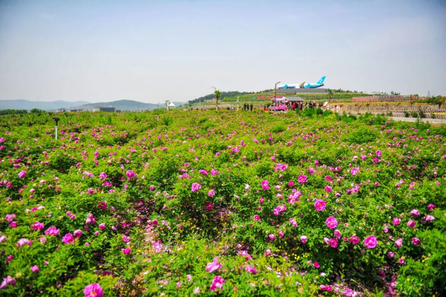 《济南中医药文化旅游》地图出炉！30个中医药文化宝藏地别错过！
