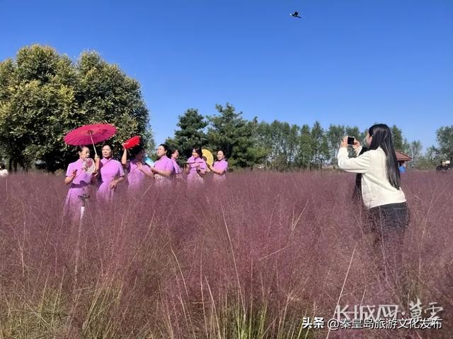 秦皇岛市抚宁区第二届枫林市集盛大启幕