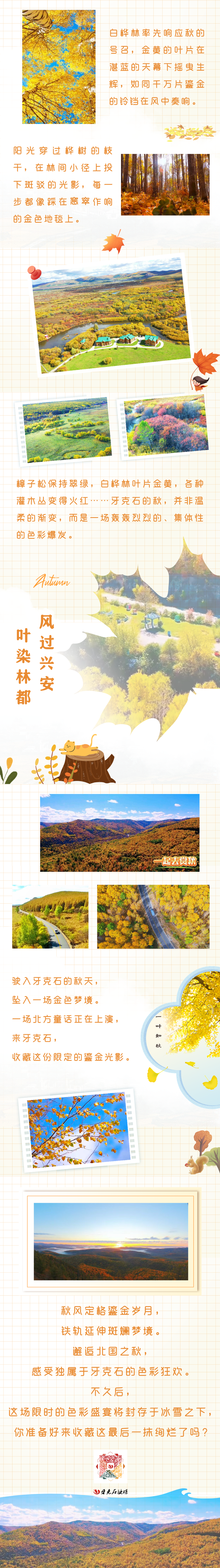 错过了牙克石的秋天，就错过了北疆最酣畅淋漓的色彩盛宴！