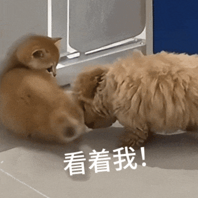 提醒！元旦来广西玩的朋友注意 较强冷空气来袭 降温5～7℃+阴雨+大风 出行攻略速存→